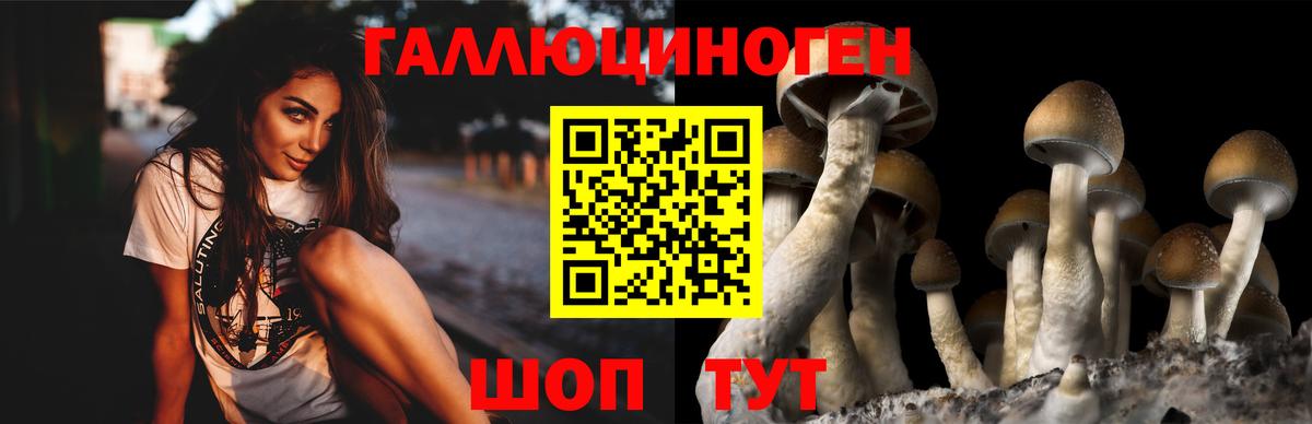 Жигулёвск  Галлюциногенные грибы GOLDEN TEACHER  Вход с VPN  Галлюциногенные грибы прущие грибы 